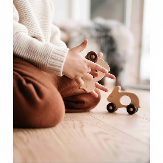Wooden Story Holzspielzeug Ente – handgefertigtes nachhaltiges Holzspielzeug im klassischen Design